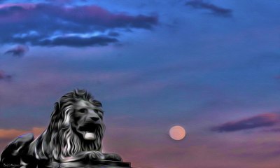 PhotoMania - The Lion Moon