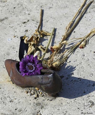 Memorial shoe Danube with flower.
